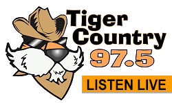 tiger online radio